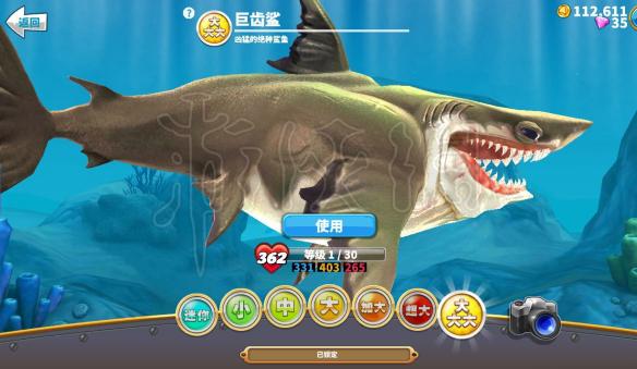 《饥饿鲨:世界》有什么鲨鱼 全鲨鱼技能及分类介绍