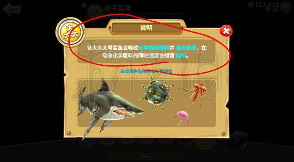 《饥饿鲨:世界》有什么鲨鱼 全鲨鱼技能及分类介绍